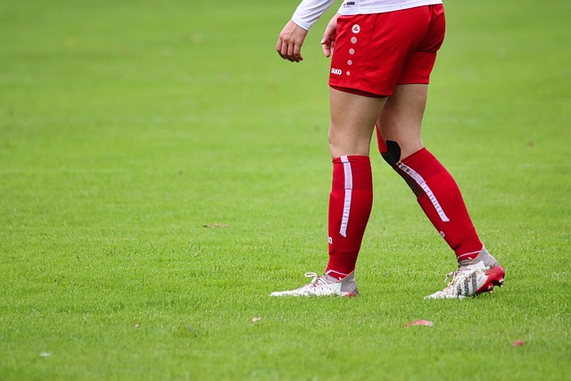 的运动员 的运动员