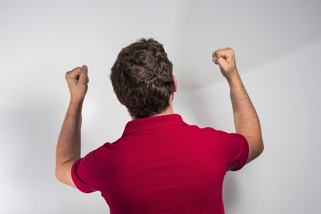 书的行为也 书的行为也