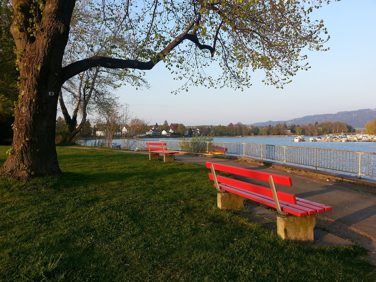 但若想更进 但若想更进