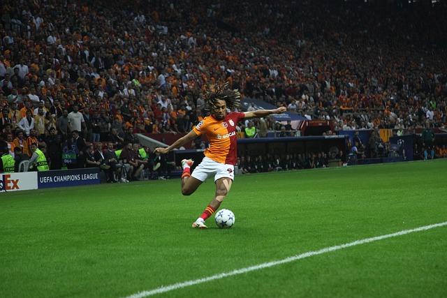 种深远的战 种深远的战