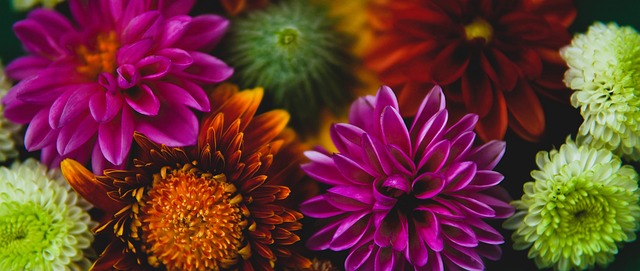 作为球队的 作为球队的